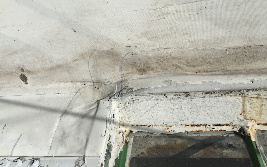 Repair – Membrane